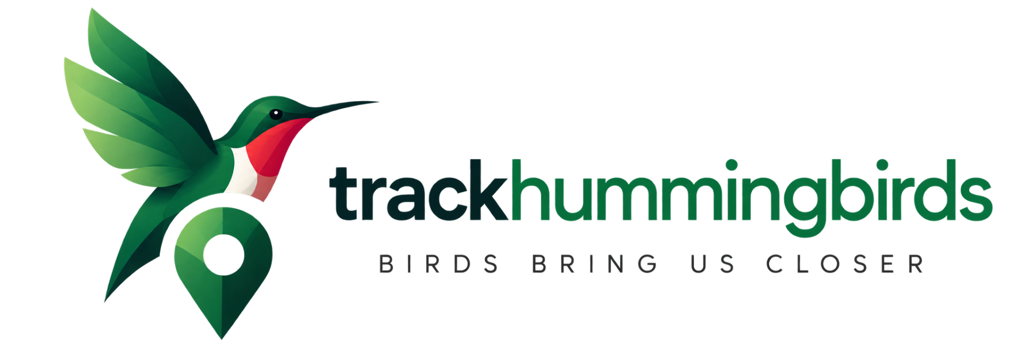 Hummingbird Tracker